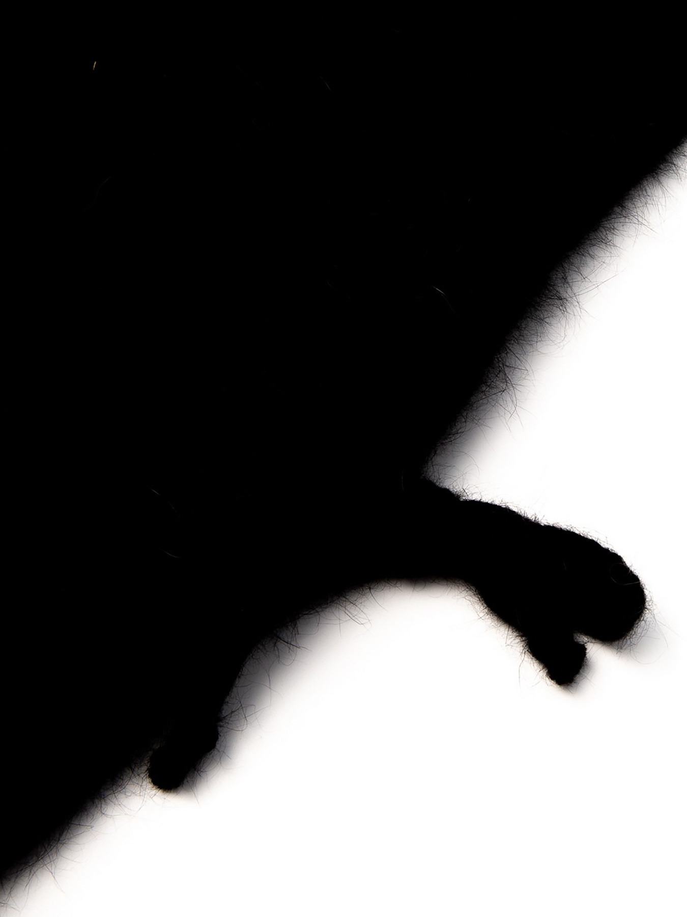 Шапки и кепки LuckyLOOK Billie модель 2933534237063 Фото