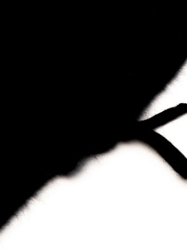 Шапки и кепки LuckyLOOK Colette модель 2933534237209 Фото