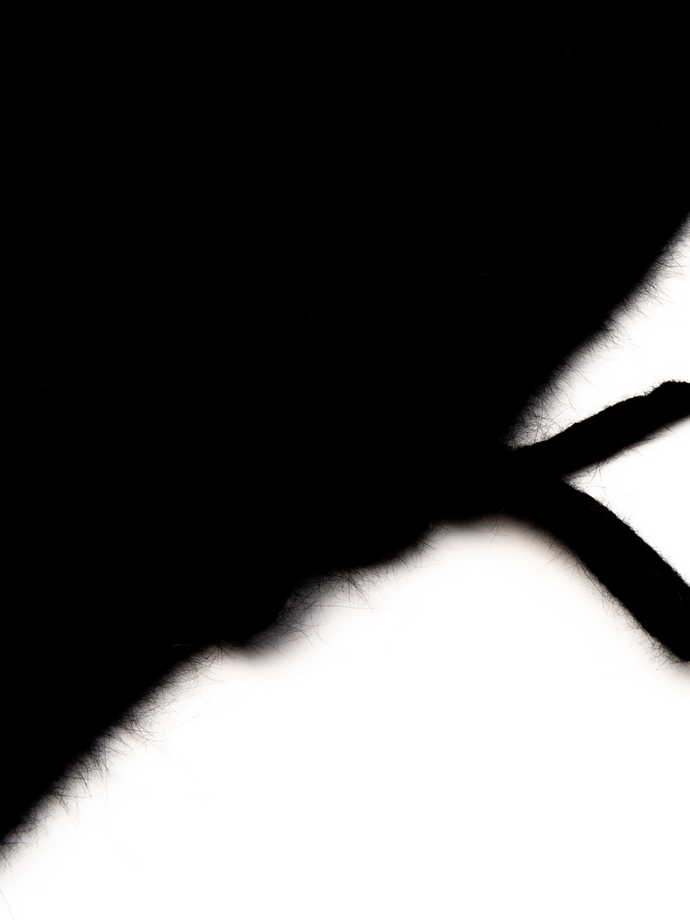 Шапки та кепки LuckyLOOK Colette модель 2933534237209 Фото