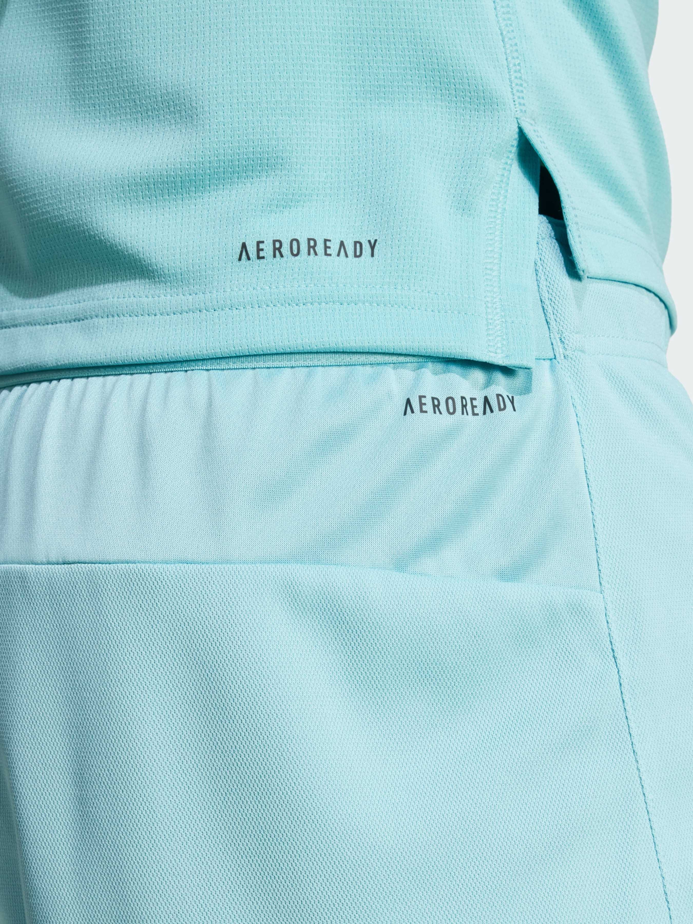 Шорты спортивные Adidas модель IW3409 Фото