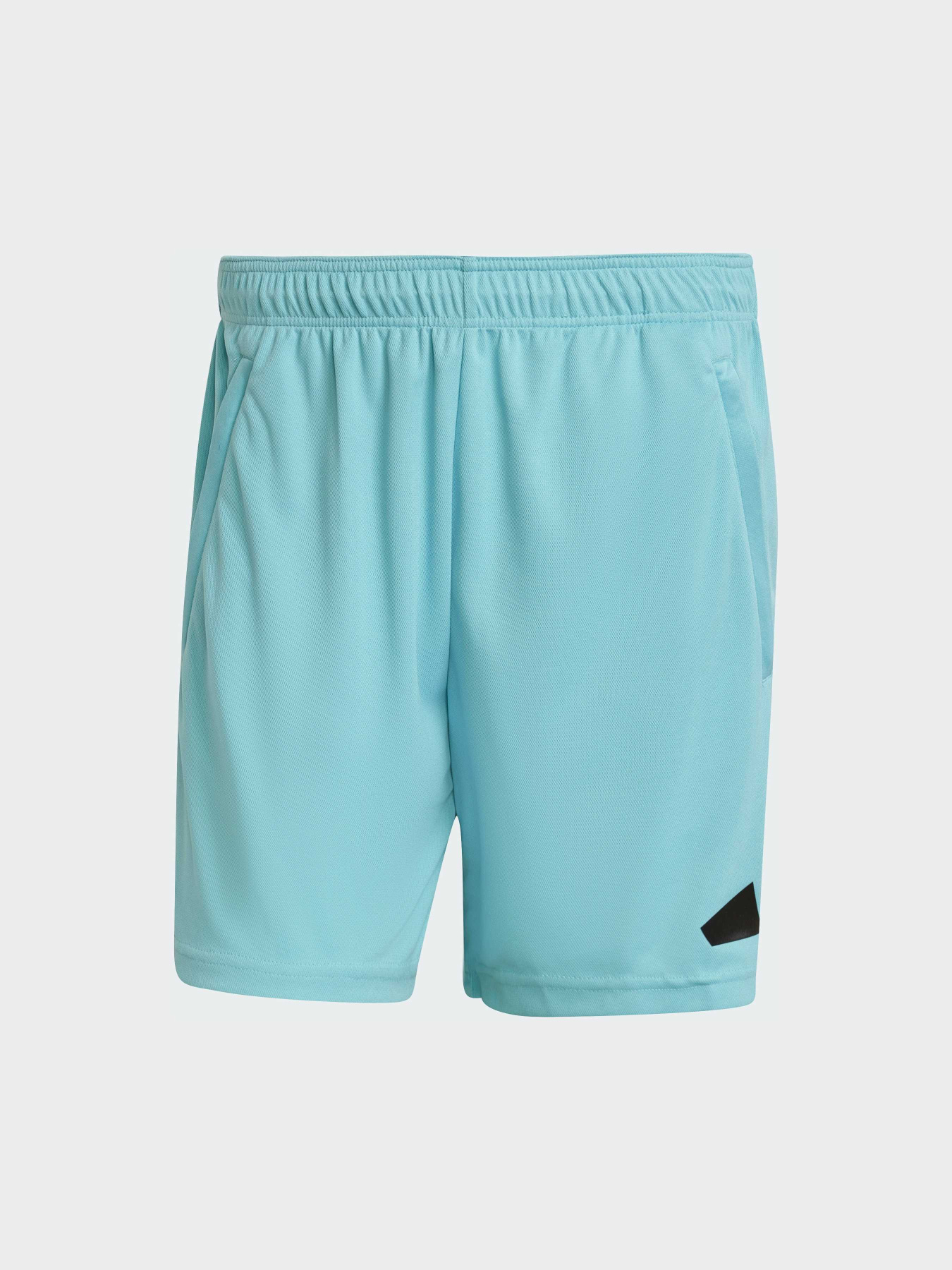 Шорты спортивные Adidas модель IW3409 Фото