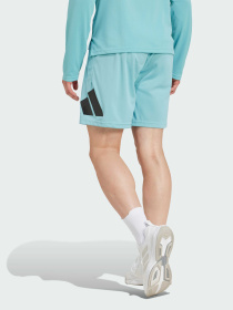 Шорты спортивные Adidas модель IW3409 Фото