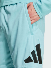 Шорты спортивные Adidas модель IW3409 Фото