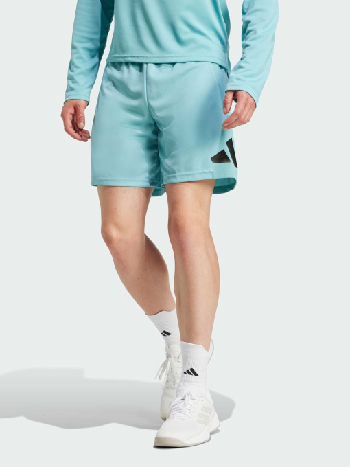 Шорти спортивні Adidas модель IW3409 Фото