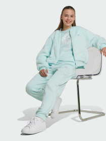 Бомбер Adidas модель IV9420 Фото