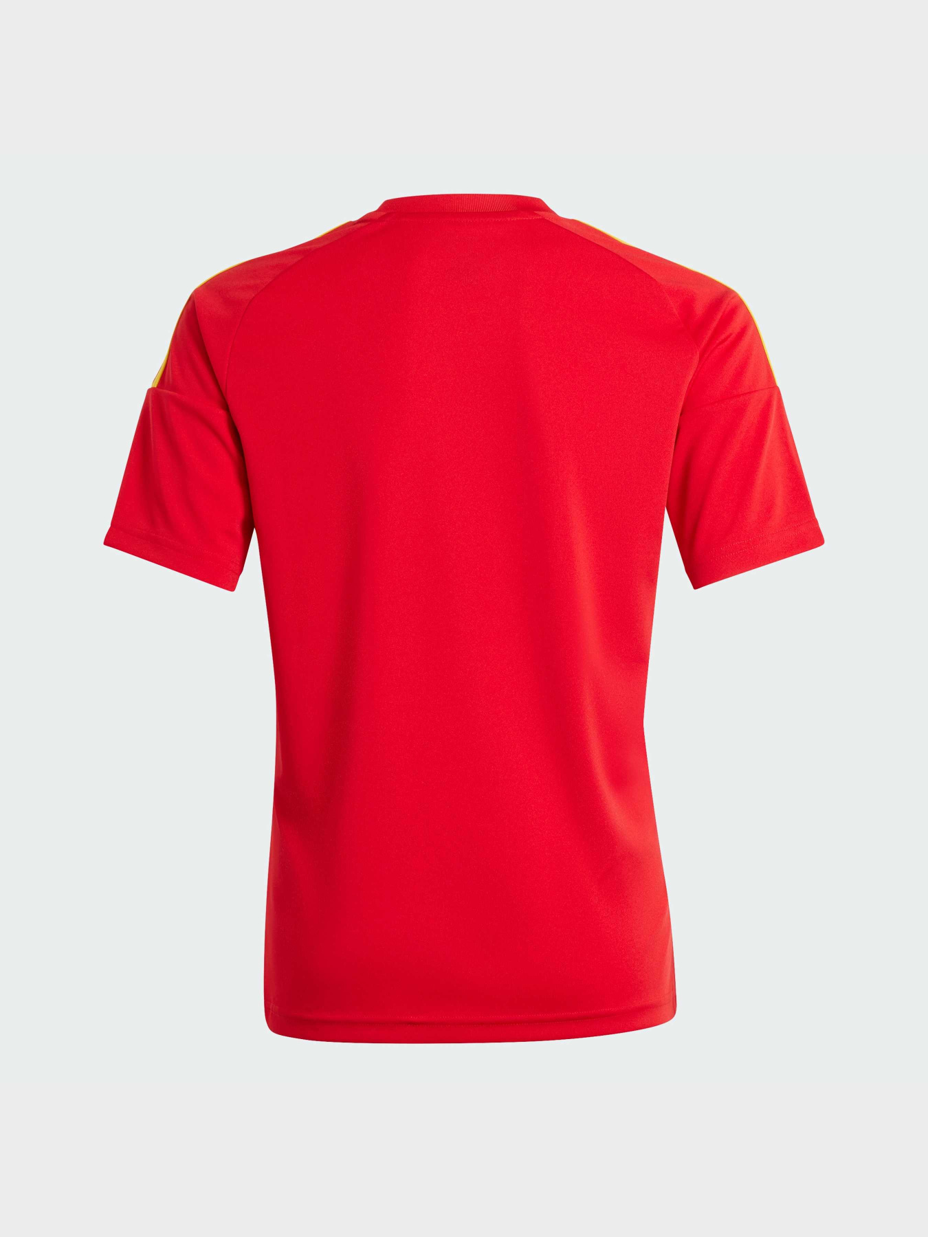 Спортивна футболка Adidas модель IP9353 Фото