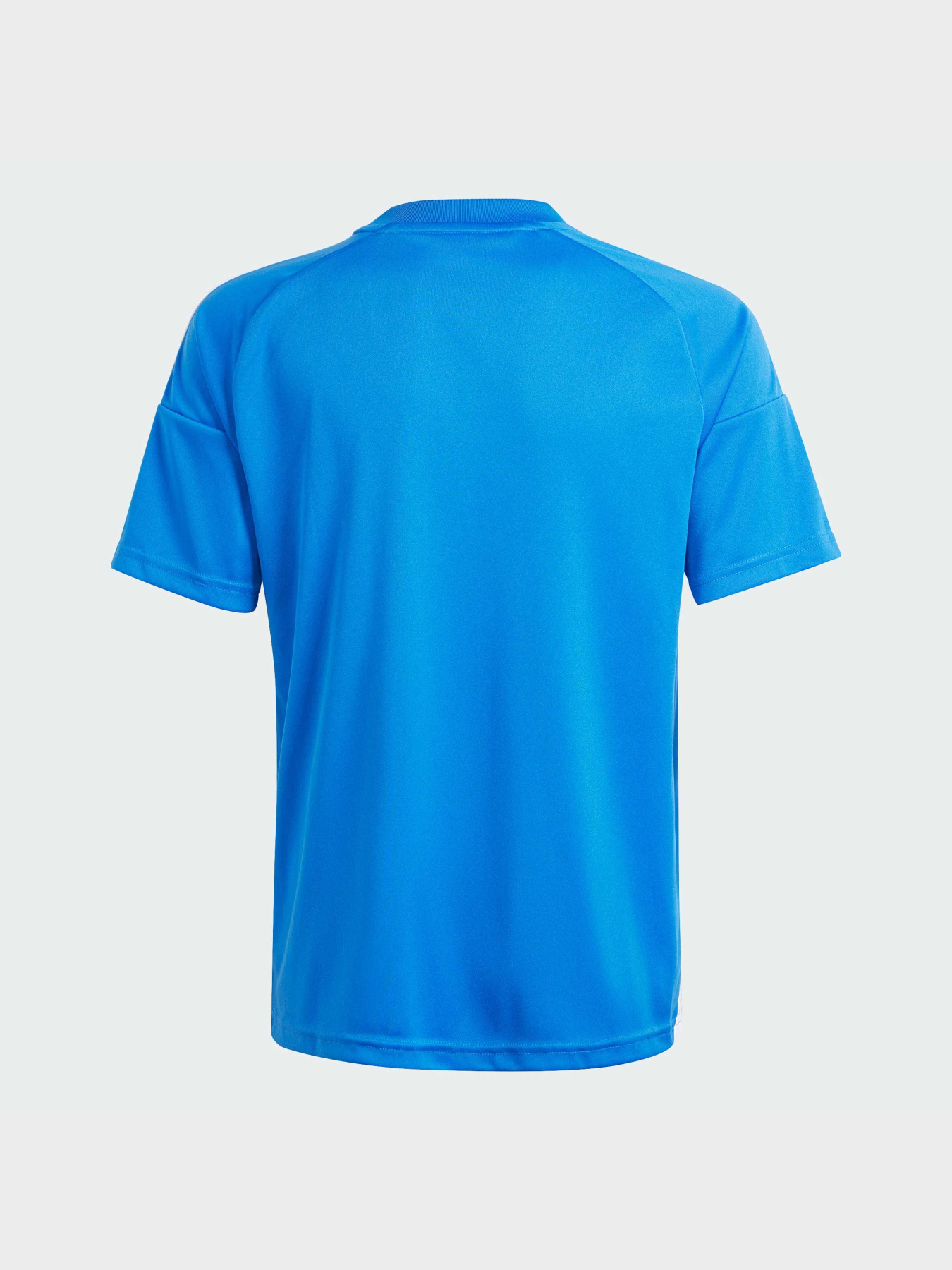 Футболка спортивная Adidas модель IQ0498 Фото