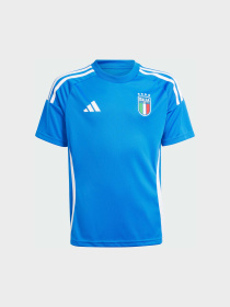 Футболка спортивная Adidas модель IQ0498 Фото