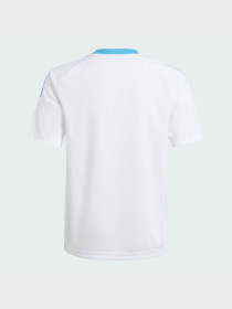 Футболка спортивная Adidas модель IP8397 Фото