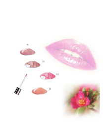 Блеск для губ KARAJA модель 8058150553428 Фото