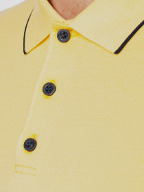 Поло Arber модель AN09.53.20 Фото