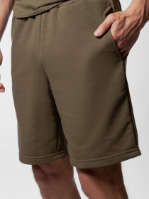 Шорты Arber модель AN28.10.25 Фото