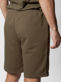 Шорты Arber модель AN28.10.25 Фото