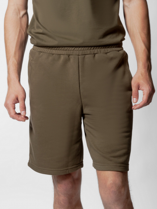 Повседневные шорты Arber модель AN28.10.25 Фото