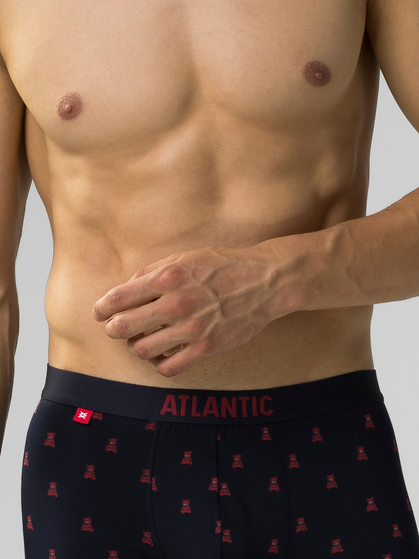 Набір трусів Atlantic модель 2GMH-024 Фото
