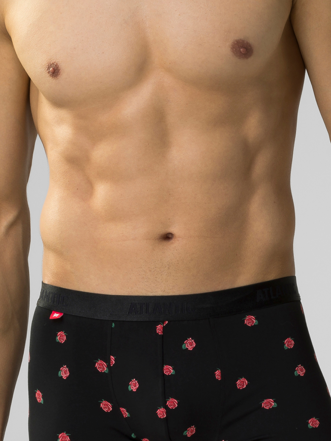 Набор трусов Atlantic модель 2GMH-026 Фото