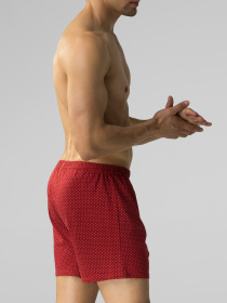 Набір трусів Atlantic модель 2GMB-008 Фото