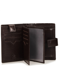 Портмоне Toscanio модель T1034C.BRAZ Портмоне Toscanio модель T1034C.BRAZ Фото