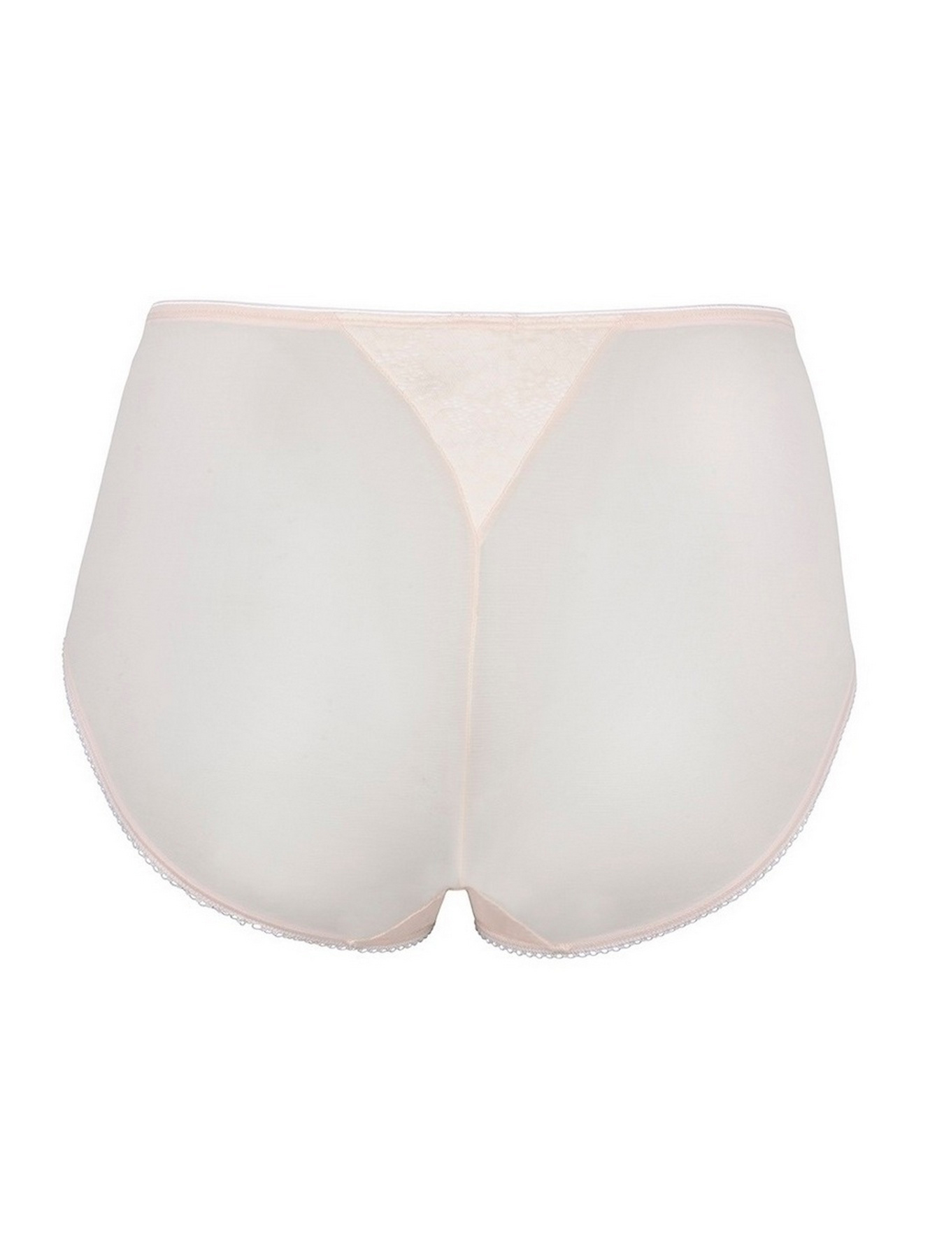 Трусы BERLEI Beauty Minimiser модель 523 Фото