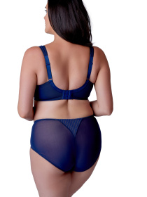 Трусы BERLEI Beauty Stripe Minimiser модель 543 Фото