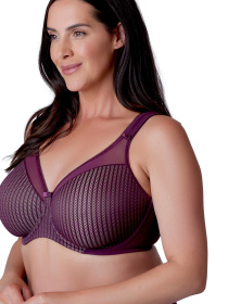 Бюстгальтер BERLEI Beauty Stripe Minimiser модель 541 Фото