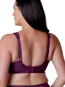 Бюстгальтер BERLEI Beauty Stripe Minimiser модель 541 Фото