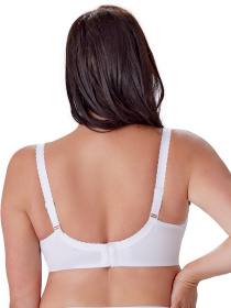 Бюстгальтер BERLEI Sublime Lace модель B608 Фото