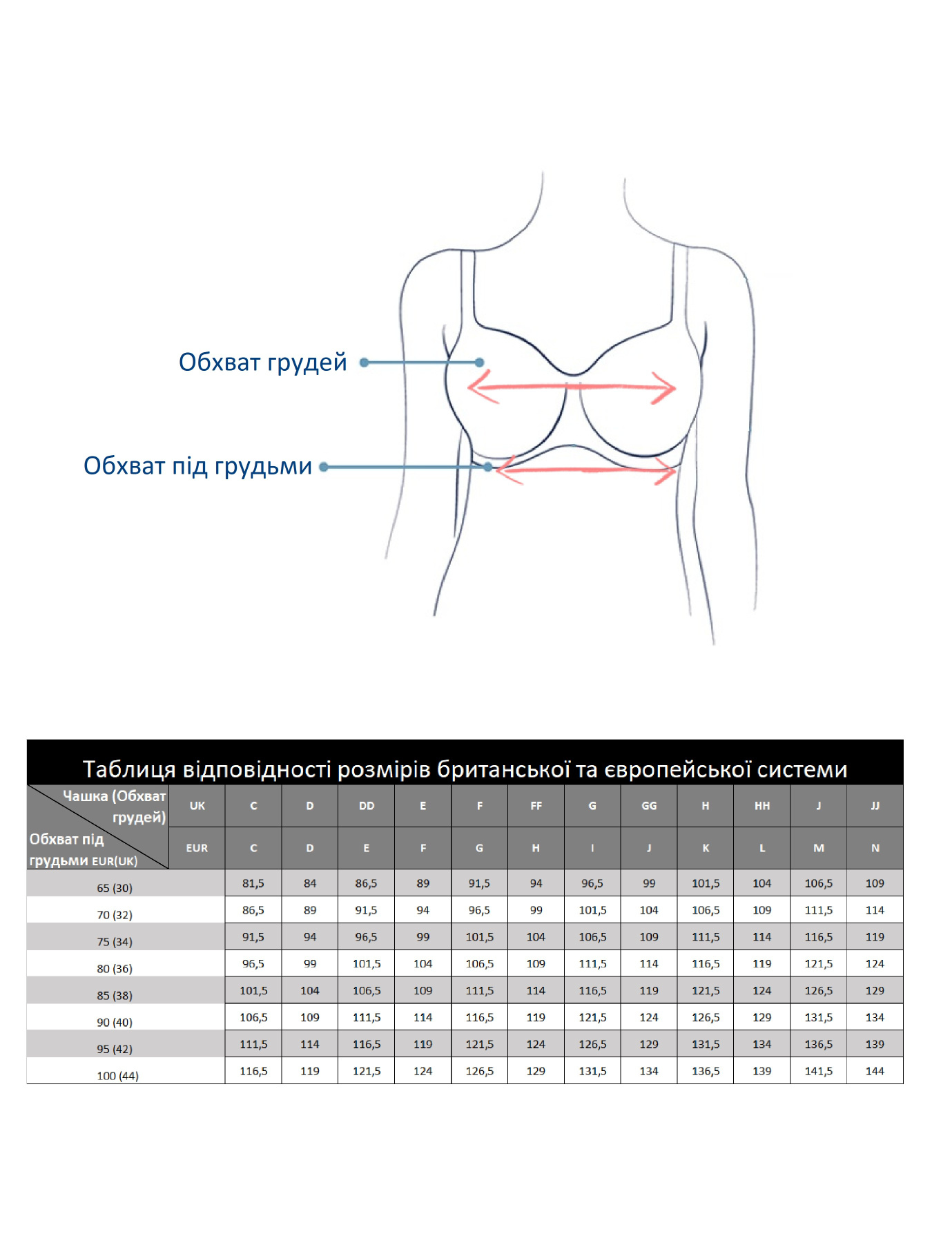 Бюстгальтер BERLEI Supreme Fit модель 4980 Фото