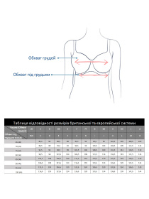 Бюстгальтер BERLEI Supreme Fit модель 4980 Фото