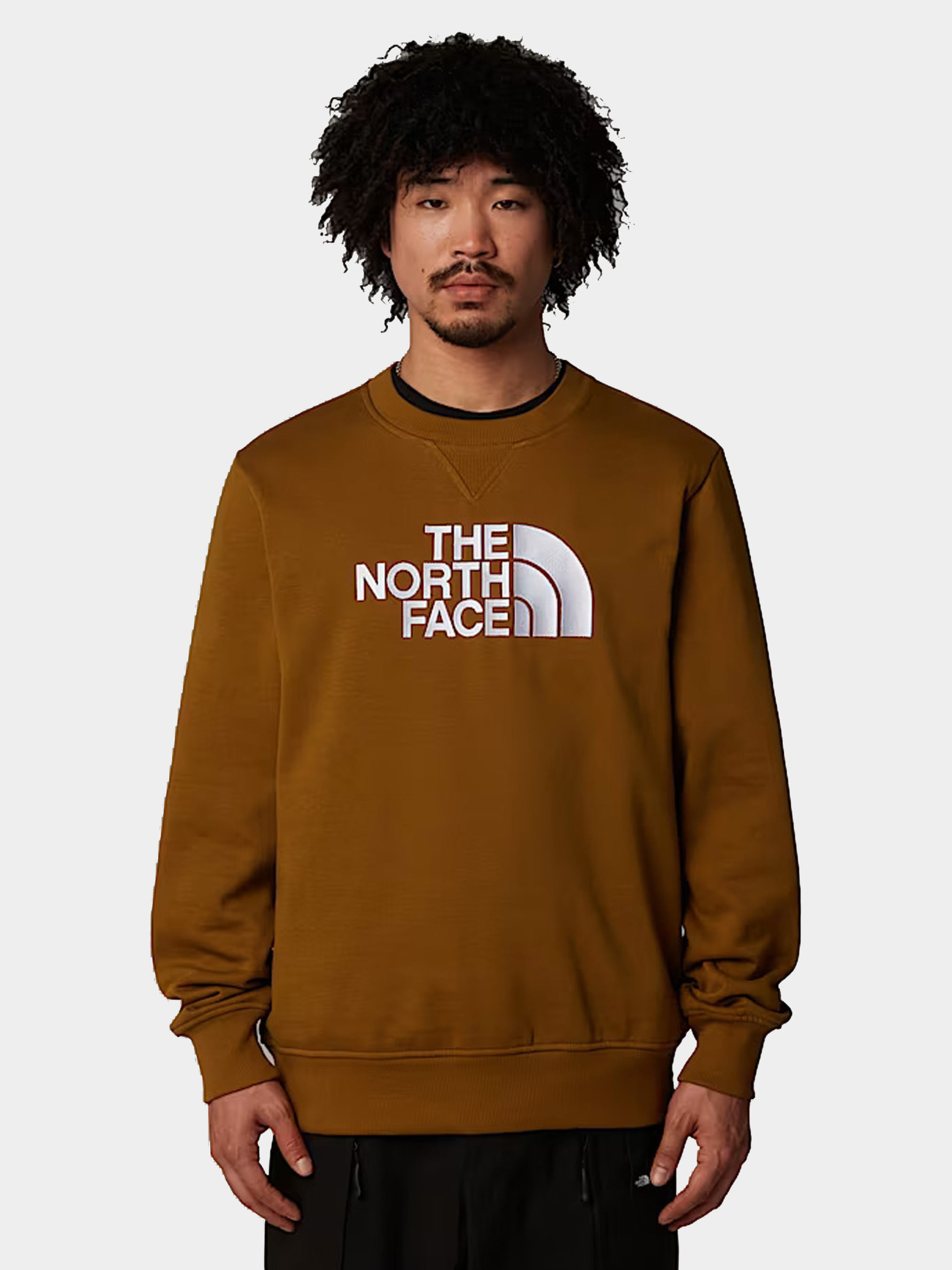 Худи и свитшоты The North Face модель NF0A89EK1OB1 - фото