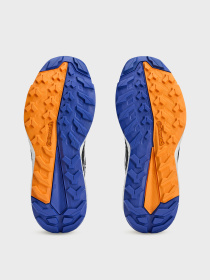 Кросівки для бігу Adidas Terrex модель IF1791 Фото