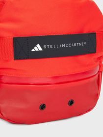 Дорожная сумка Adidas модель JN7040 Фото