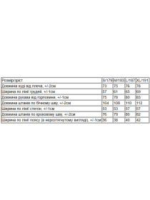 Костюм Носи своє модель 3376-025-33-svtla-kava Фото