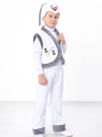 Костюм Носи своє модель 7031-ne-viznacheno Фото