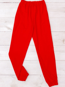 Джоггеры Носи своє модель 8391-057-chervonij Фото