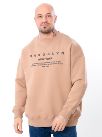 Світшот Носи своє модель 8379-025-33-svtla-kava Фото