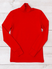 Водолазка Носи своє модель 6068-040-chervonij Фото