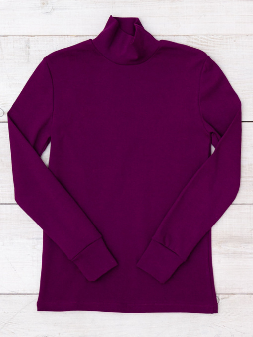 Водолазка Носи своє модель 6068-040-temno-falkovij Фото