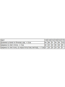 Спортивні штани Носи своє модель 6060-025-2-srij Фото