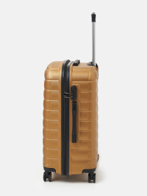 Чемодан Ricco Grande модель T15003Gold-L Фото