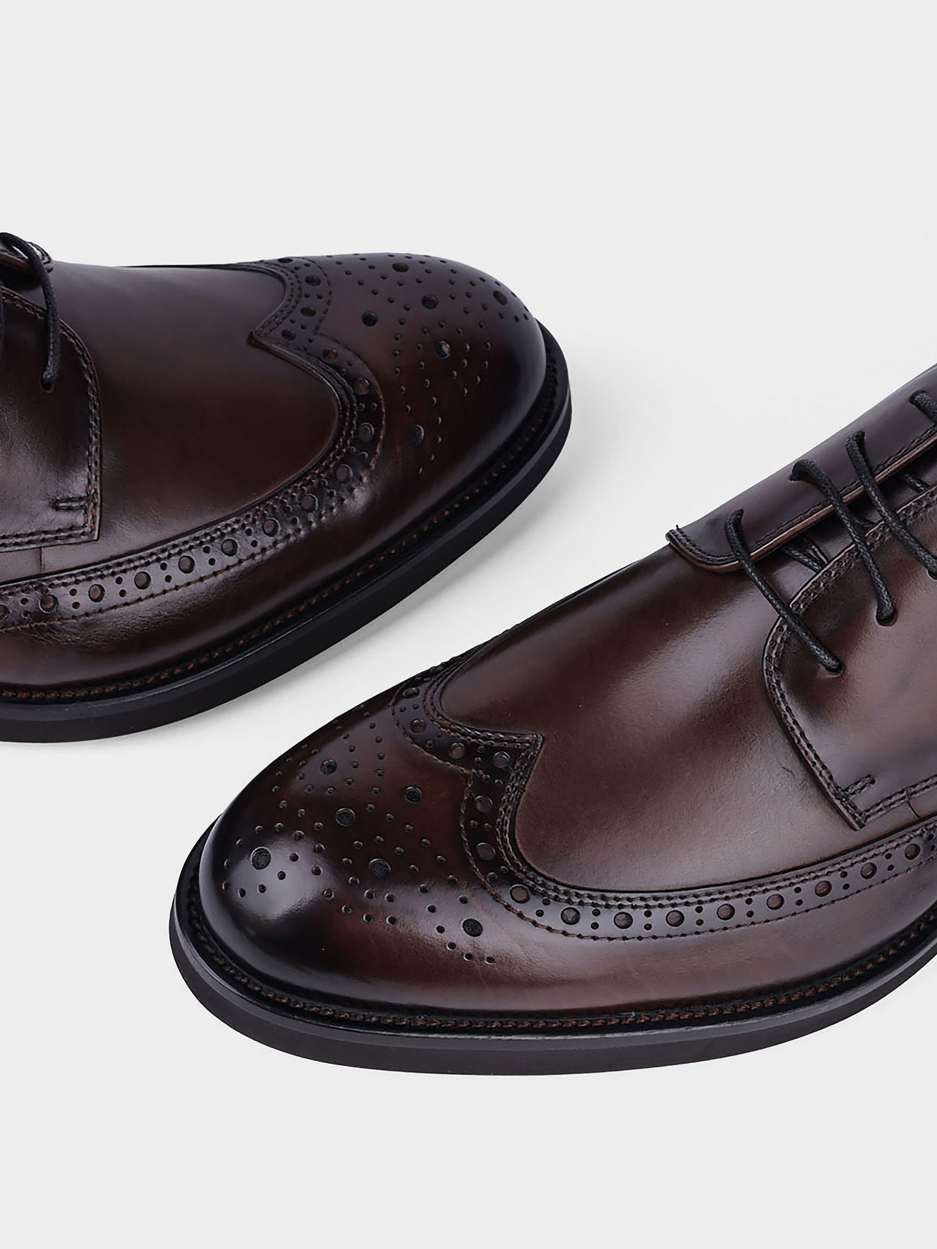 Броги Miguel Miratez модель KT1388-12M466 Фото