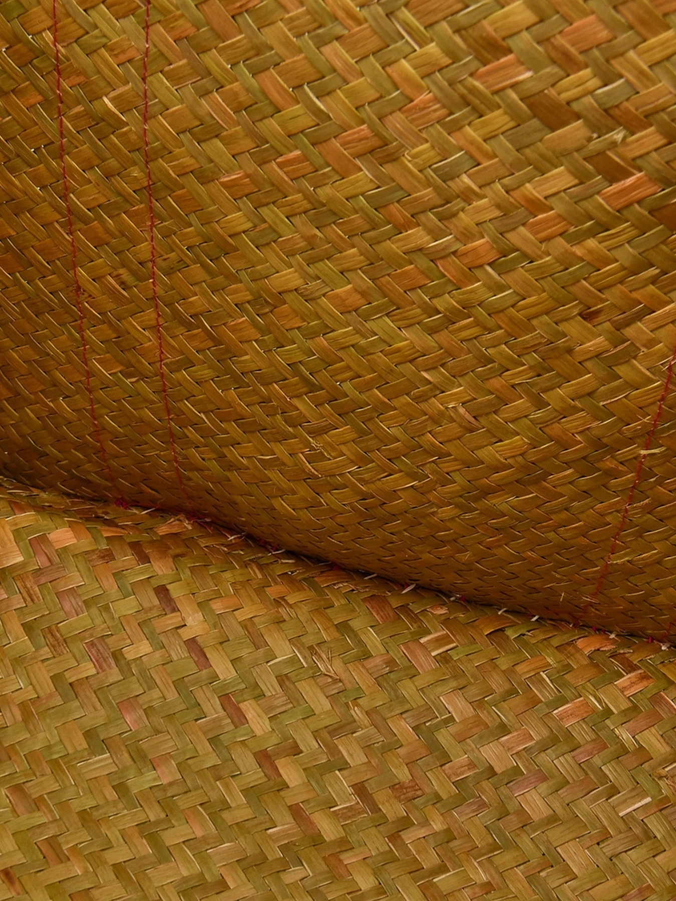 Пляжная сумка Le Comptoir de la plage модель Tsimgy_SGM_FUC Фото