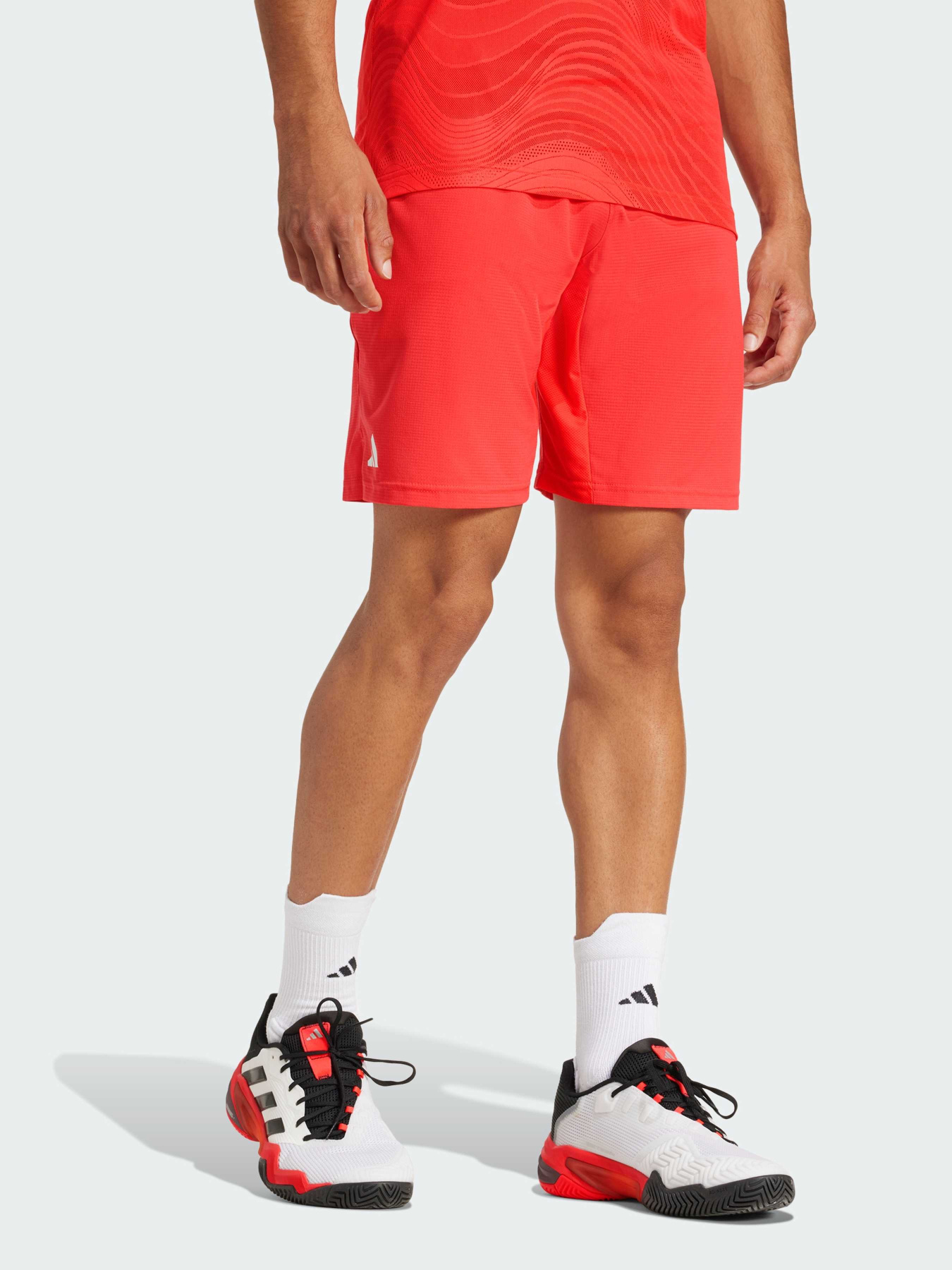 Шорты спортивные Adidas модель JN1341 Фото