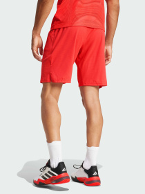 Шорты спортивные Adidas модель JN1341 Фото