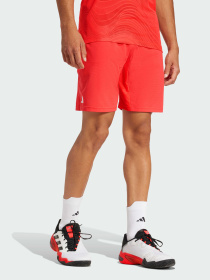 Шорты спортивные Adidas модель JN1341 Фото