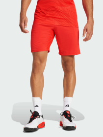 Шорты спортивные Adidas модель JN1341 Фото