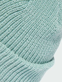 Шапка Adidas Adicolor модель IY4642 Фото