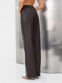 Брюки Lesia модель Dalen01BrownWPNTLS Фото