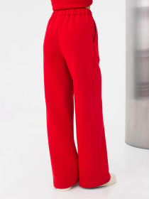 Штани Lesia модель JalinRedWPNTLS Фото