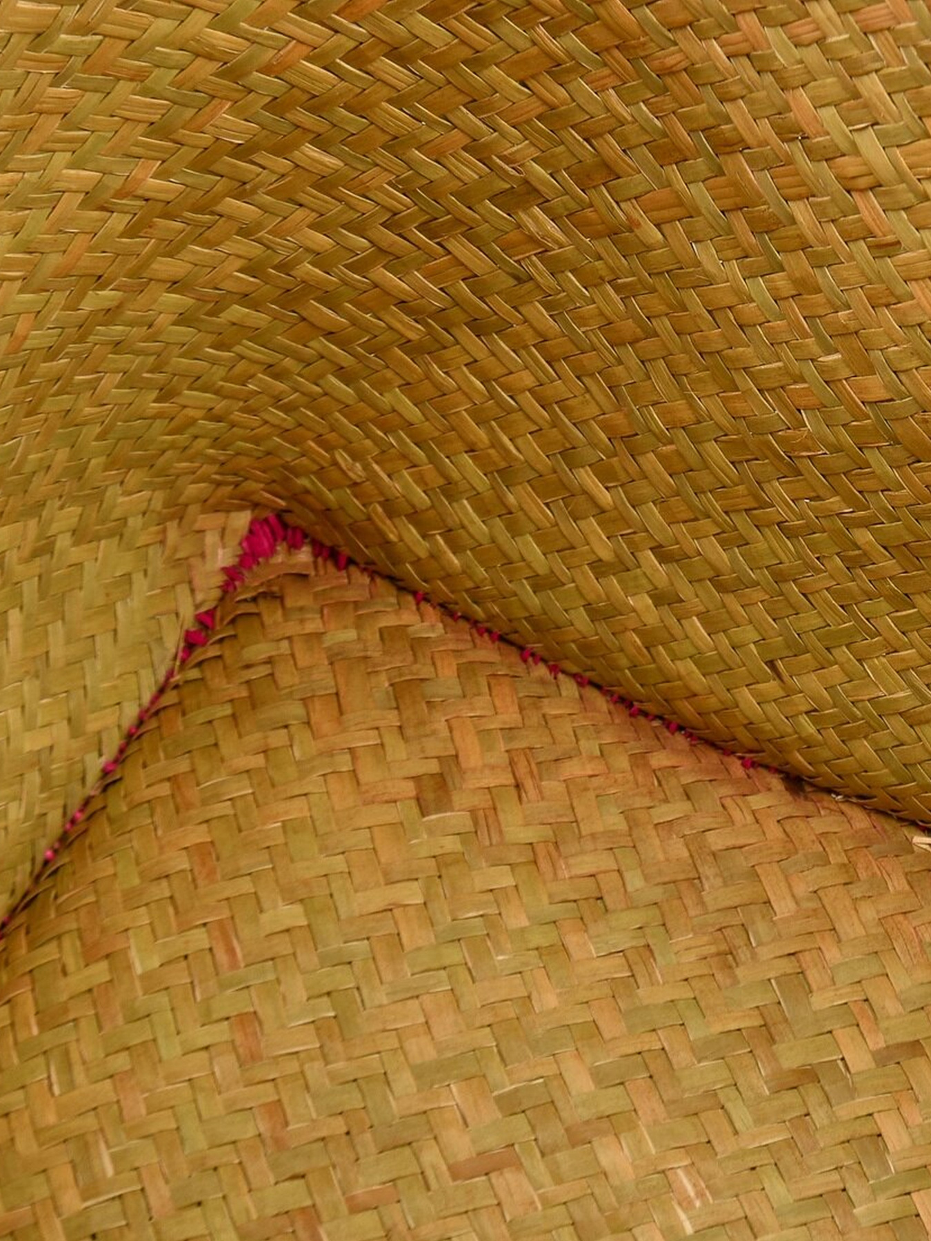 Пляжна сумка Le Comptoir de la plage модель Pretty_Rose Фото